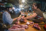 Tin nhập lợn sống từ Thái Lan khiến giá lợn hơi giảm mạnh