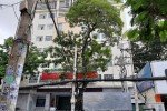 Cây xanh tét nhánh đè chết người ở TP.HCM: Còn 200m là tới nhà