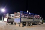 Gần 2 triệu con lợn Thái Lan sắp về Việt Nam
