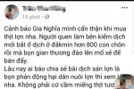 Bịa đặt thông tin 800 con heo bị dịch bệnh đào lên để bán