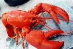 Tôm hùm, cherry Mỹ giá rẻ đổ về Việt Nam