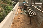 Bác sĩ pháp y giải mã cái chết của thiếu nữ giao gà