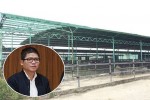 Truy nã quốc tế con trai ông Trần Bắc Hà