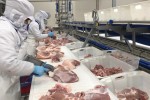 Sẽ thanh tra về giá lợn ở một số doanh nghiệp