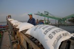 Hạn chế xuất khẩu gạo: Doanh nghiệp rơi cảnh tiến thoái lưỡng nan