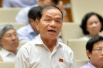 ĐBQH Lê Thanh Vân: 'Loại bỏ cán bộ ngáo danh, thích chơi trội'