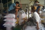 Giá gạo xuất khẩu cạnh tranh, khách hàng chuyển từ Thái Lan sang Việt Nam