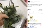 Vợ tá hỏa khi nhờ chồng đi chợ mua lá dứa đồ xôi
