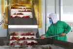 Phát triển ngành công nghiệp chế biến: Trong "nguy" có "cơ"