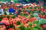 Hơn 2 tấn vải thiều đầu tiên đến Nhật Bản, chờ vào siêu thị