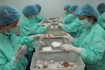 Việt Nam sắp thử nghiệm vaccine ngừa Covid-19 trên người