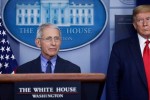 Trump đối đầu cố vấn y tế giữa Covid-19