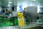 Việt Nam có thể là hình mẫu hoàn hảo phục hồi sau dịch ở Nam bán cầu