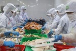 Cơ hội đưa hàng Việt vào Nhật Bản