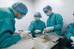 Vaccine COVID-19 'made in Vietnam' đáp ứng tốt, chuẩn bị tiêm thử trên người