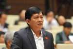 ĐBQH nhập quốc tịch nước ngoài: Gian dối, không thể chấp nhận
