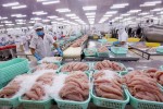 Xuất khẩu thủy sản phục hồi, có thể đạt 8,3 tỷ USD năm 2020