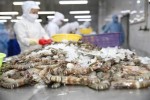 Tôm, cá Việt thắng lớn ở EU nhờ lợi thế trước đối thủ