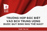 'Trường hợp đặc biệt' vào BCH Trung ương được quy định thế nào?