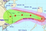 Bão Goni đổi hướng liên tục khi vào Biển Đông