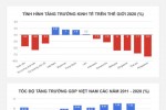 Infographic: Diện mạo kinh tế Việt Nam 2020 qua những con số
