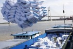 60 tấn gạo Việt Nam đầu tiên được nhập khẩu vào Anh theo UKVFTA