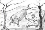 Phóng sinh sao lại đắt hơn sát sinh?