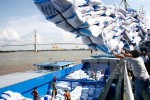 Không phải Ấn Độ hay Thái Lan, Bangladesh đã chọn Việt Nam để nhập mua 50.000 tấn gạo đầu tiên theo hợp đồng G2G