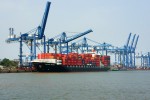 Không còn thích hợp với cuộc đua giá rẻ, gạo Việt Nam bước vào “sân chơi” các thị trường cao cấp, khó tính