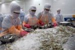 Văn bản kém chất lượng 'hành' doanh nghiệp
