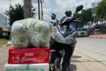 TP.HCM không thiếu thực phẩm