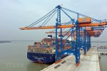 Cước phí hàng xuất khẩu: 'Vùng tối' của các hãng tàu biển nước ngoài?