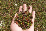 Đề nghị Ấn Độ mở cửa thị trường với nông sản, trái cây tươi của Việt Nam