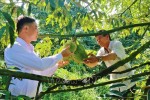 Nông sản “xuất ngoại” bằng đường lớn