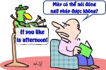 Con vẹt của giáo sư tiếng Anh