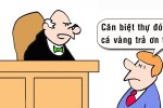 Tậu biệt thự nhờ cứu mạng cá vàng