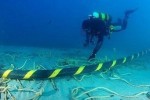 Người dùng Internet Việt Nam đón tin mừng